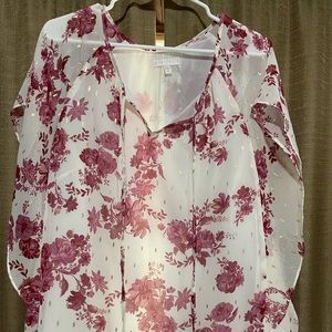 Lotus pink and white sheet flower top